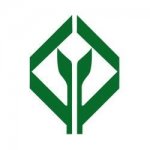 ���� ������ ��������